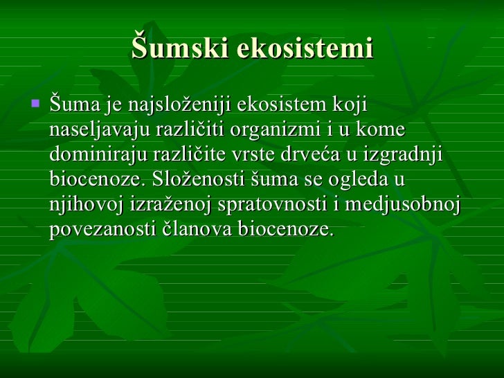 Četinarske šume