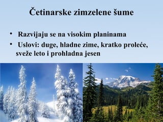 Četinarske zimzelene šume

Razvijaju se na visokim planinama

Uslovi: duge, hladne zime, kratko proleće,
sveže leto i prohladna jesen
 