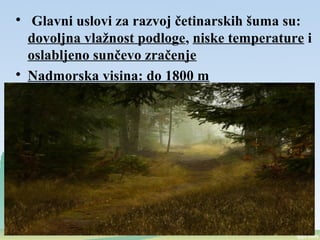 
Glavni uslovi za razvoj četinarskih šuma su:
dovoljna vlažnost podloge, niske temperature i
oslabljeno sunčevo zračenje

Nadmorska visina: do 1800 m
 