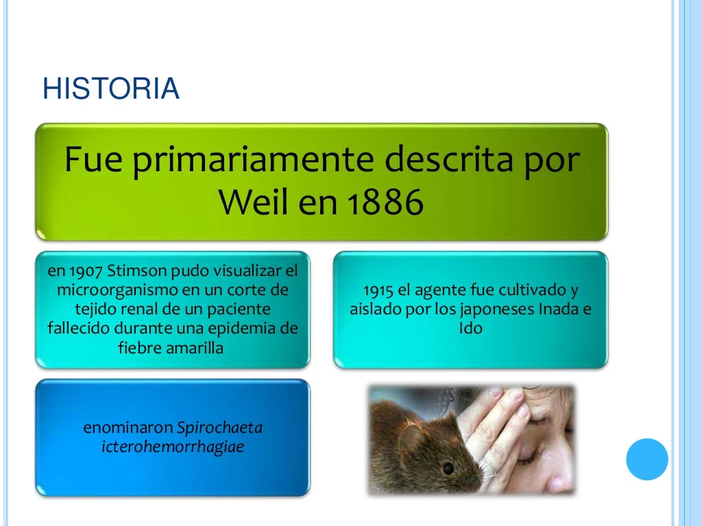 leptospirosis