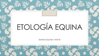 ETOLOGÍA EQUINA
Daniela Guzmán –MVZ-B
 