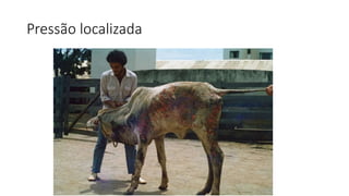 Pressão localizada
 
