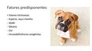 Fatores predisponentes
• Fatores intrínsecos
- Espécie, raça e família
- Idade
- Gênero
- Cor
- Imunodeficiências congênitas
 