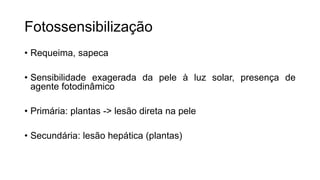 Fotossensibilização
• Requeima, sapeca
• Sensibilidade exagerada da pele à luz solar, presença de
agente fotodinâmico
• Primária: plantas -> lesão direta na pele
• Secundária: lesão hepática (plantas)
 