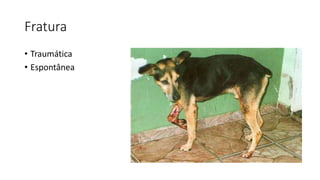 Fratura
• Traumática
• Espontânea
 