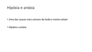 Hipóxia e anóxia
• Uma das causas mais comuns de lesão e morte celular
• Hipóxia x anóxia
 