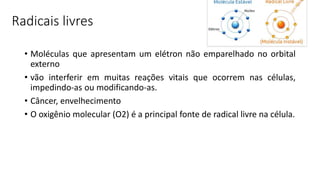 Radicais livres
• Moléculas que apresentam um elétron não emparelhado no orbital
externo
• vão interferir em muitas reações vitais que ocorrem nas células,
impedindo-as ou modificando-as.
• Câncer, envelhecimento
• O oxigênio molecular (O2) é a principal fonte de radical livre na célula.
 