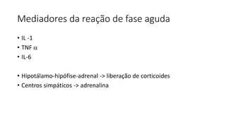 Mediadores da reação de fase aguda
• IL -1
• TNF 
• IL-6
• Hipotálamo-hipófise-adrenal -> liberação de corticoides
• Centros simpáticos -> adrenalina
 