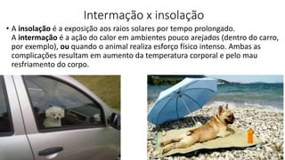 Intermação x insolação
• A insolação é a exposição aos raios solares por tempo prolongado.
A intermação é a ação do calor em ambientes pouco arejados (dentro do carro,
por exemplo), ou quando o animal realiza esforço físico intenso. Ambas as
complicações resultam em aumento da temperatura corporal e pelo mau
resfriamento do corpo.
 