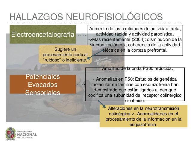 etiologia de la esquizofrenia pdf etiologia de la esquizofrenia pdf