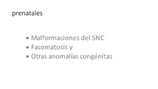 prenatales
 