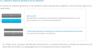 Etiologia no refrcataria