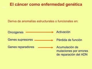 Deriva de anomalías estructurales o funcionales en: Oncogenes Genes supresores  Genes reparadores Activación Pérdida de función Acumulación de mutaciones por errores de reparación del ADN El cáncer como enfermedad genética 