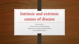 Intrinsic and extrinsic
causes of disease
Dr. Jeny K John
Assistant Professor, Clinical Pathology
Department of Veterinary Clinical Pathology
COVAS, SVPUAT, Meerut
 