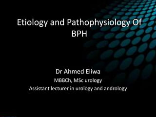 Etiology and Pathophysiology Of
BPH
Dr Ahmed Eliwa
MBBCh, MSc urology
Assistant lecturer in urology and andrology
 
