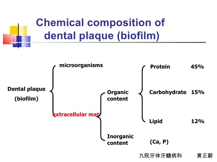 Etiology of dental caries