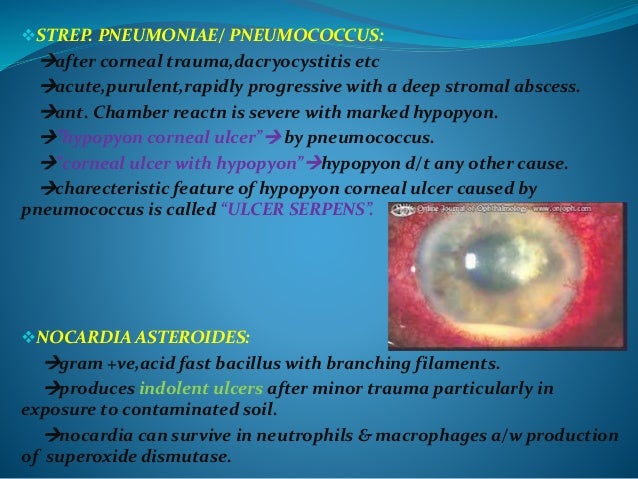Etiology Pathology And Pathogenesis Of Corneal Ulcer Etiology Pathology And Pathogenesis Of Corneal Ulcer