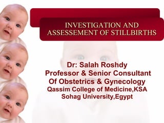 Slide 1




              INVESTIGATION AND
          ASSESSEMENT OF STILLBIRTHS



                Dr: Salah Roshdy
          Professor & Senior Consultant
           Of Obstetrics & Gynecology
          Qassim College of Medicine,KSA
              Sohag University,Egypt
 