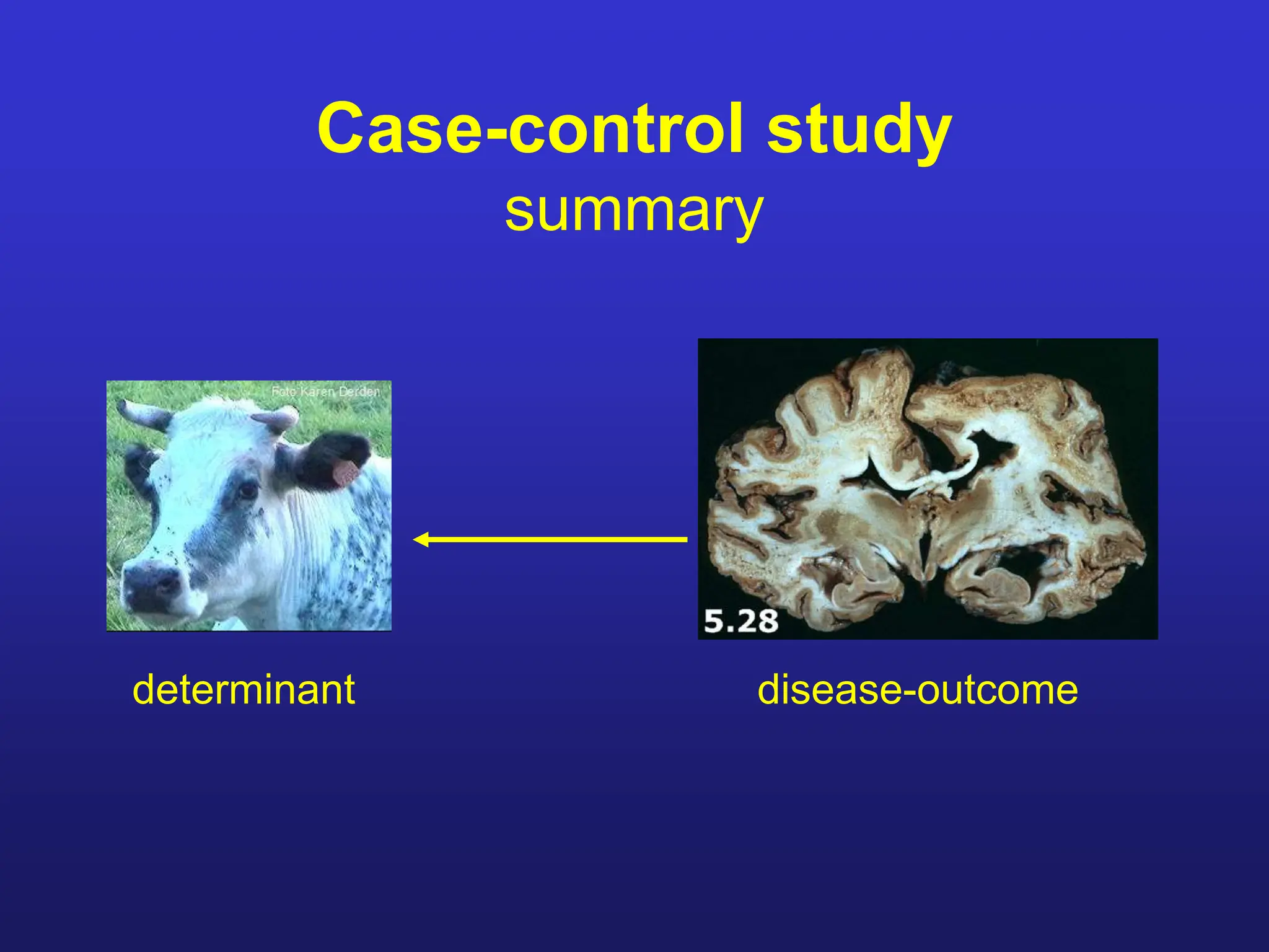 Etiology Research.pptx