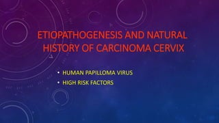 ETIOPATHOGENESIS AND NATURAL
HISTORY OF CARCINOMA CERVIX
• HUMAN PAPILLOMA VIRUS
• HIGH RISK FACTORS
 