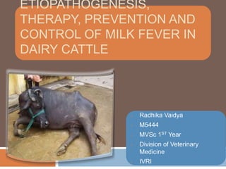 ETIOPATHOGENESIS,
THERAPY, PREVENTION AND
CONTROL OF MILK FEVER IN
DAIRY CATTLE
• Radhika Vaidya
• M5444
• MVSc 1ST Year
• Division of Veterinary
Medicine
• IVRI
 