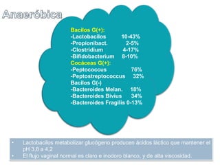 Bacilos G(+): 
-Lactobacilos 10-43% 
-Propionibact. 2-5% 
-Clostridium 4-17% 
-Bifidobacterium 8-10% 
Cocáceas G(+): 
-Peptococcus 76% 
-Peptostreptococcus 32% 
Bacilos G(-) 
-Bacteroides Melan. 18% 
-Bacteroides Bivius 34% 
-Bacteroides Fragilis 0-13% 
• Lactobacilos metabolizar glucógeno producen ácidos láctico que mantener el 
pH 3,8 a 4,2 
• El flujo vaginal normal es claro e inodoro blanco, y de alta viscosidad. 
 