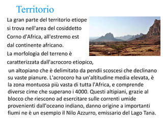 Territorio
La gran parte del territorio etiope
si trova nell'area del cosiddetto
Corno d'Africa, all'estremo est
dal continente africano.
La morfologia del terreno è
caratterizzata dall'acrocoro etiopico,
un altopiano che è delimitato da pendii scoscesi che declinano
su vaste pianure. L'acrocoro ha un'altitudine media elevata, è
la zona montuosa più vasta di tutta l'Africa, e comprende
diverse cime che superano i 4000. Questi altipiani, grazie al
blocco che riescono ad esercitare sulle correnti umide
provenienti dall'oceano indiano, danno origine a importanti
fiumi ne è un esempio il Nilo Azzurro, emissario del Lago Tana.
 