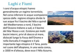 Laghi e Fiumi
I corsi d'acqua etiopici hanno
generalmente un regime torrentizio.
Nel corso inferiore le acque scompaiono
spesso dalla regione etiopica divide le
sue acque fra il bacino del Nilo e quindi
del Mediterraneo a nord, il bacino
dell‘Oceano Indiano a sud, e il bacino
del Mar Rosso a est. Esistono poi molti
bacini interni, privi di sbocco al mare,
dislocati lungo la Fossa dell'Oromo e
nella Dancalia.Il maggiore e il più
importante lago etiopico è il Tana, posto
nel cuore dell'altopiano, in una vasta conca,
a 1830 m d'altezza, dove esce il Nilo Azzurro.
 