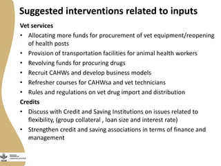 Small Ruminant Value Chain Development in Ethiopia: Initial problem analysis and related interventions