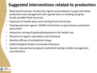 Small Ruminant Value Chain Development in Ethiopia: Initial problem analysis and related interventions