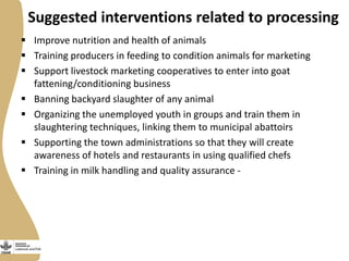 Small Ruminant Value Chain Development in Ethiopia: Initial problem analysis and related interventions