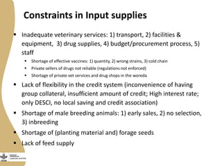 Small Ruminant Value Chain Development in Ethiopia: Initial problem analysis and related interventions