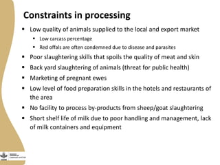 Small Ruminant Value Chain Development in Ethiopia: Initial problem analysis and related interventions