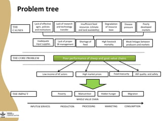 Small Ruminant Value Chain Development in Ethiopia: Initial problem analysis and related interventions