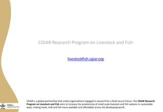 Adapting the Livestock and Fish (L&F) program Impact Pathway(s) to the Ethiopia Small Ruminant Value chains