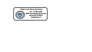 Pedro Luis Pérez Carmona
C.I. 17.981.594
PNF Investigación Penal
Proceso II 2023
Ambiente 2
 