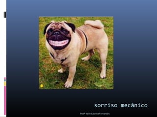 sorriso mecânico
Profª Kelly Sabrina Fernandes
 