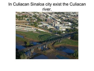 In Culiacan Sinaloa city exist the Culiacan river. 