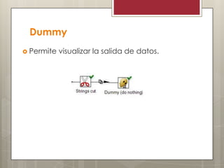 Dummy
 Permite visualizar la salida de datos.
 
