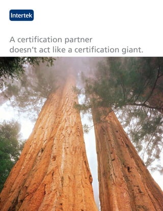 A certification partner
doesn’t act like a certification giant.
 