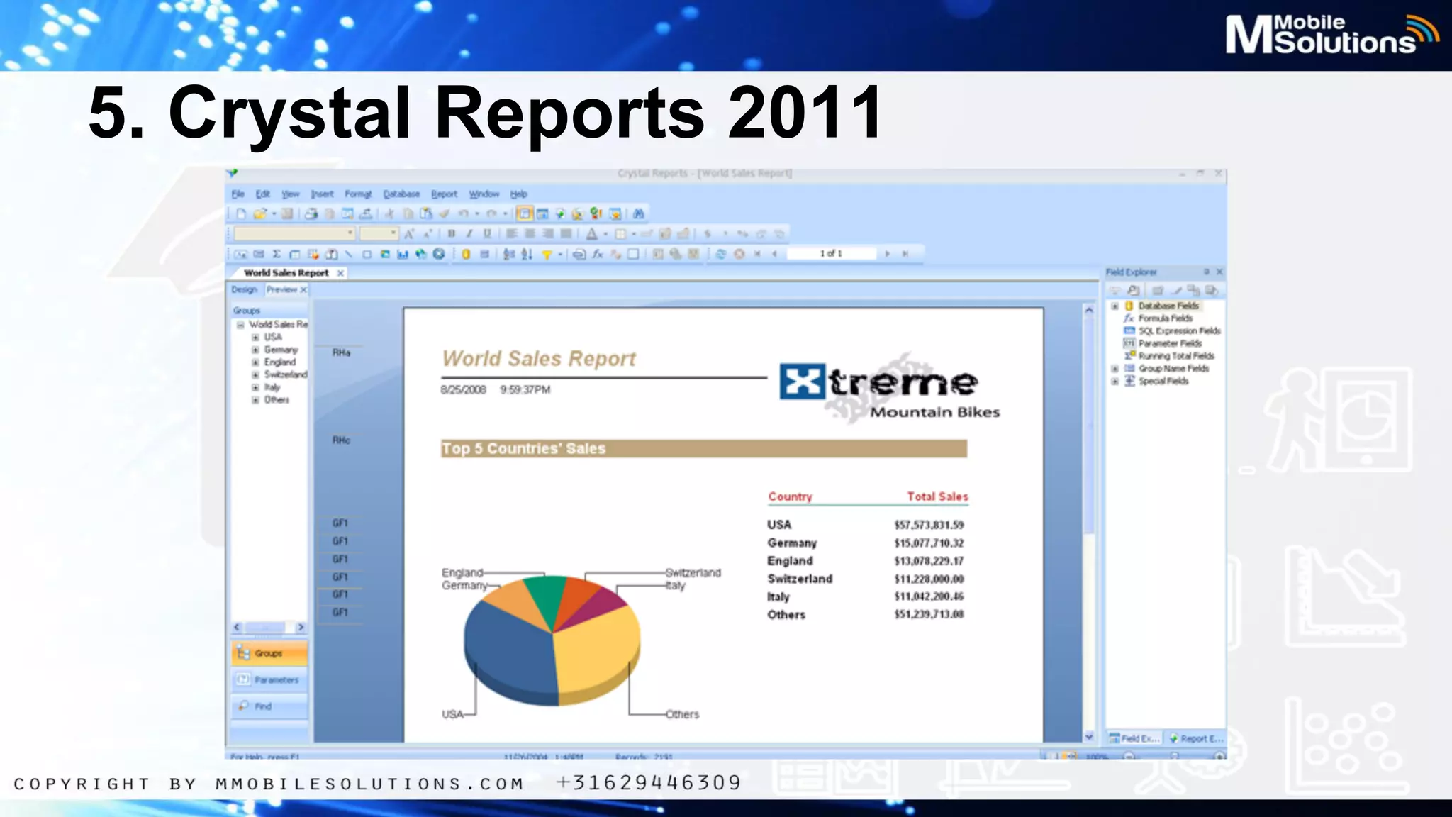 5. Crystal Reports 2011

 