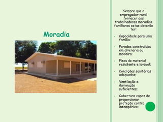 Sempre que o
empregador rural
fornecer aos
trabalhadores moradias
familiares estas deverão
ter:
• Capacidade para uma
família;
• Paredes construídas
em alvenaria ou
madeira;
• Pisos de material
resistente e lavável;
• Condições sanitárias
adequadas;
• Ventilação e
iluminação
suficientes;
• Cobertura capaz de
proporcionar
proteção contra
intempéries;
Moradia
 