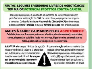 Saúde e Segurança do Trabalhador