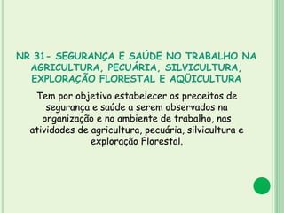 NR 31- SEGURANÇA E SAÚDE NO TRABALHO NA
AGRICULTURA, PECUÁRIA, SILVICULTURA,
EXPLORAÇÃO FLORESTAL E AQÜICULTURA
Tem por objetivo estabelecer os preceitos de
segurança e saúde a serem observados na
organização e no ambiente de trabalho, nas
atividades de agricultura, pecuária, silvicultura e
exploração Florestal.
 
