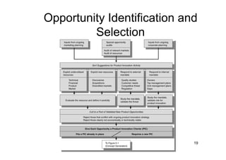 Opportunity Identification and
         Selection




                             19
 