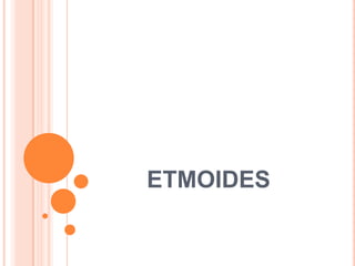 ETMOIDES
 