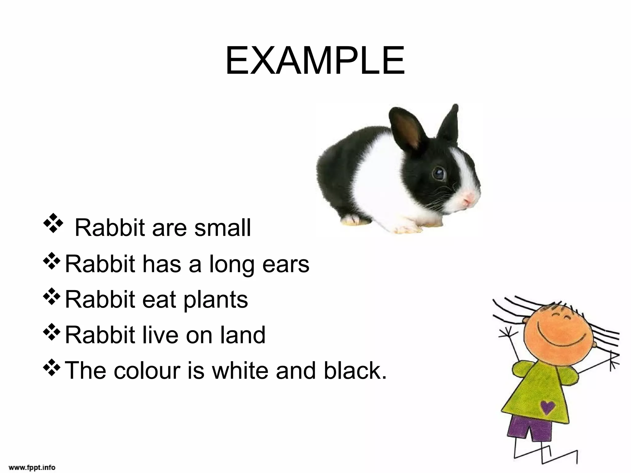 EXAMPLE
Rabbit are small
Rabbit has a long ears
Rabbit eat plants
Rabbit live on land
The colour is white and black.
