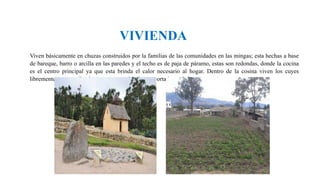 VIVIENDA
Viven básicamente en chuzas construidos por la familias de las comunidades en las mingas; esta hechas a base
de bareque, barro o arcilla en las paredes y el techo es de paja de páramo, estas son redondas, donde la cocina
es el centro principal ya que esta brinda el calor necesario al hogar. Dentro de la cosina viven los cuyes
libremente, ya que ellos los consume y además son portadores de buena energía.
 