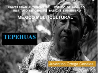 TEPEHUAS
Juventino Ortega Canales.
UNIVERSIDAD AUTÓNOMA DEL ESTADO DE HIDALGO
INSTITUTO DE CIENCIAS BÁSICAS E INGENIERÍA
.
MÉXICO MULTICULTURAL
 