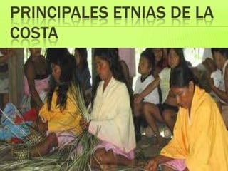 PRINCIPALES ETNIAS DE LA
COSTA
 